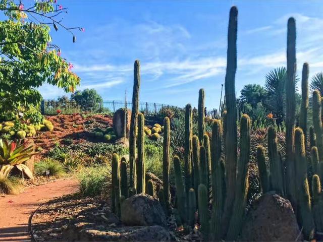 墨尔本大学建筑排名_澳洲名校墨尔本大学就业率77.0%!看起来没有中国专科(2)
