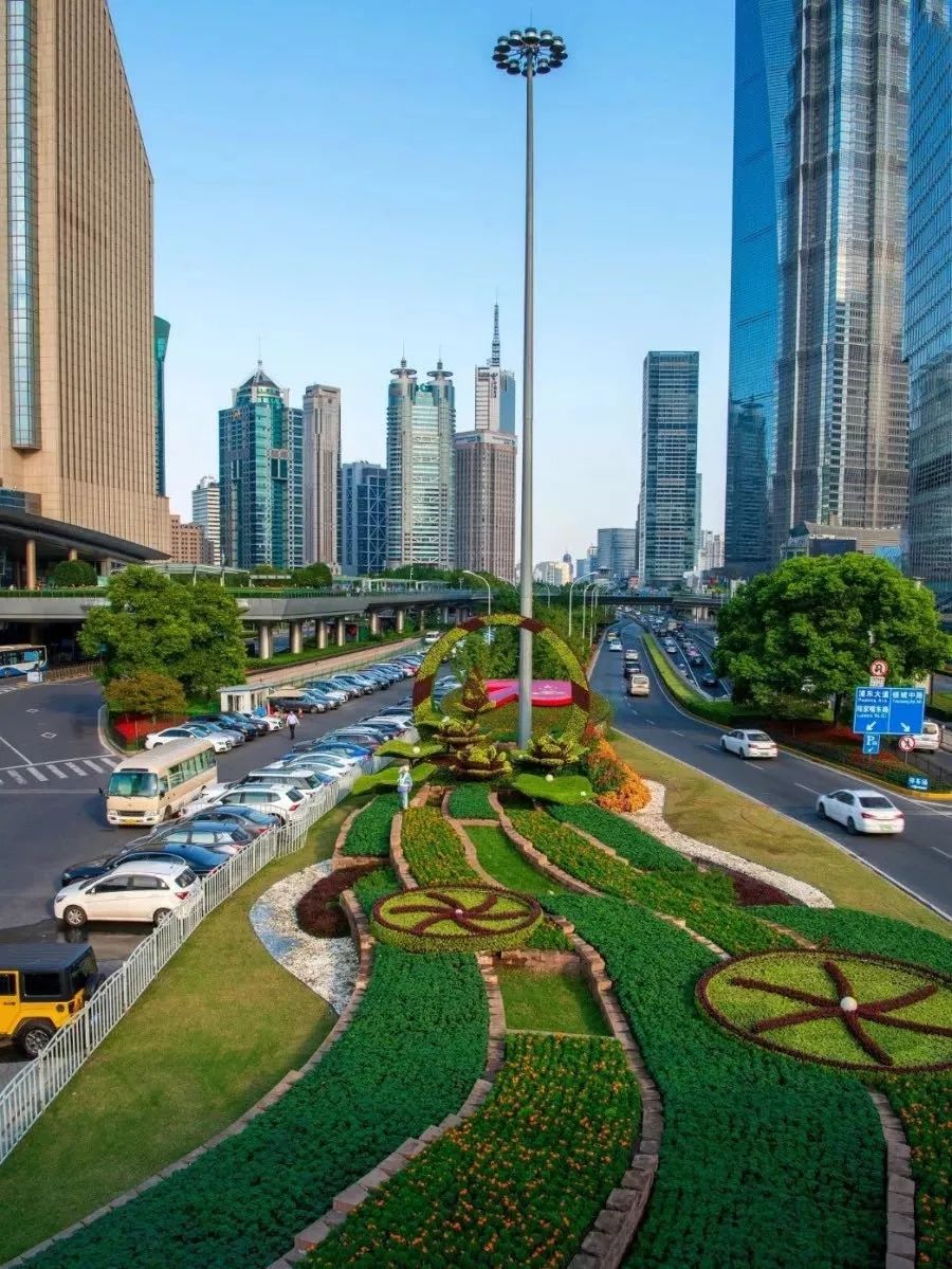 只争朝夕不负韶华浦东绝美日出大片迎接2020