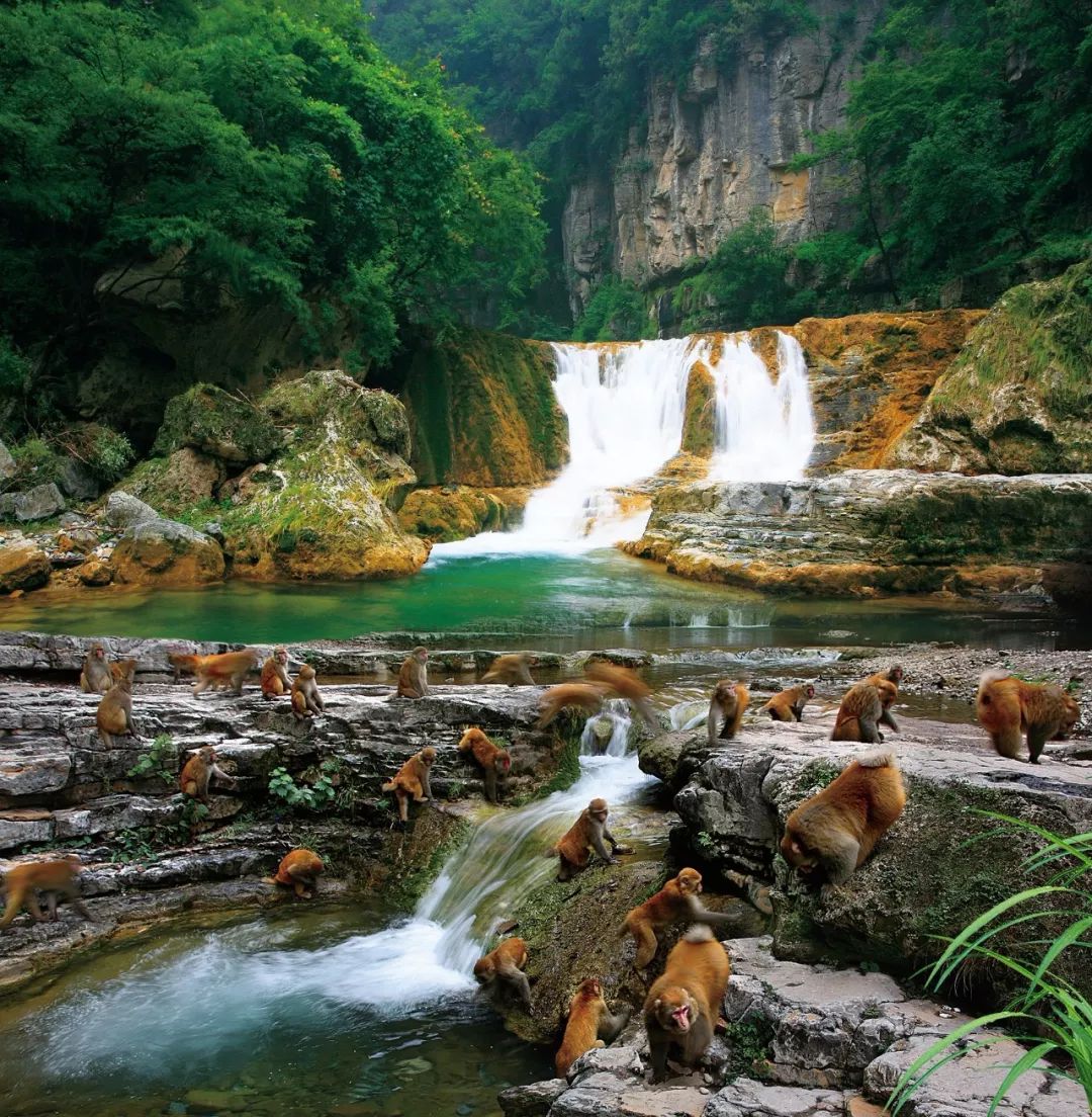 5a级景区皇城相府对全国公安民警辅警免费开放