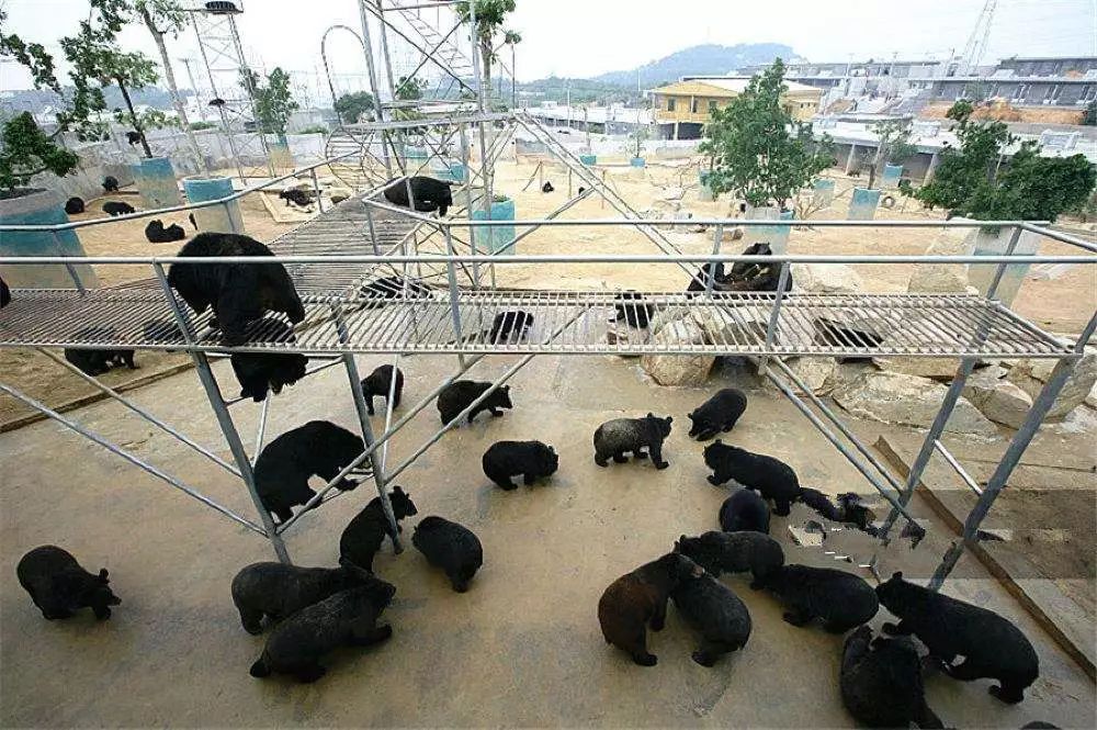 爆价来袭￥88元1月5日千熊山庄探泉港樟脚油画般石房子懈逅情人谷