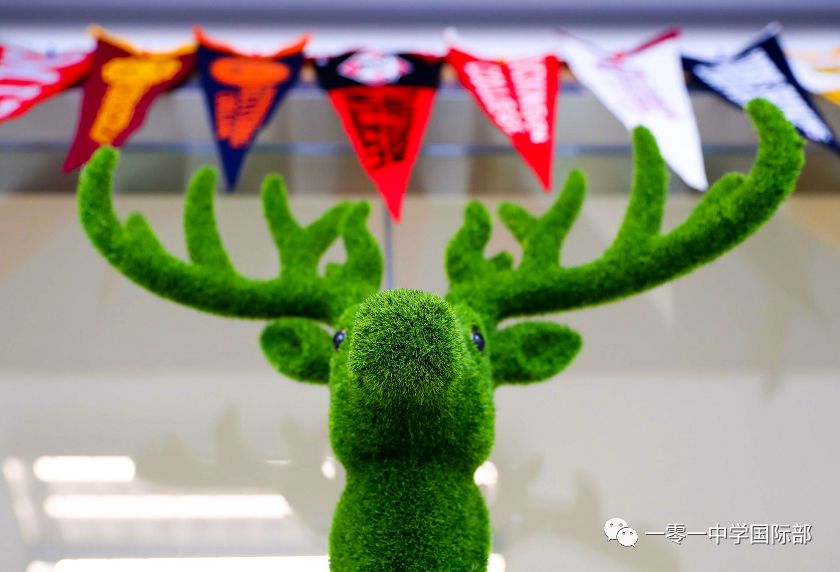 2020翠鹿!| 北京101中国际部祝福大家新年快乐!