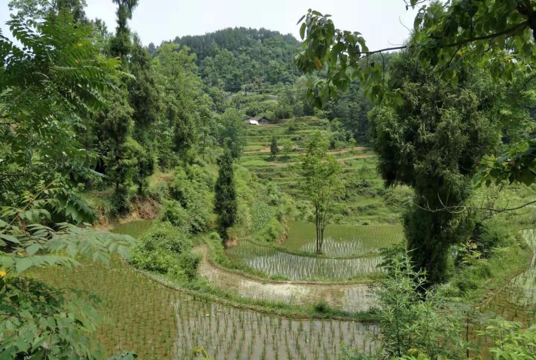 對這些鄉村來說,好處當然很多,可以增加收入;還可以改善農村生活環境