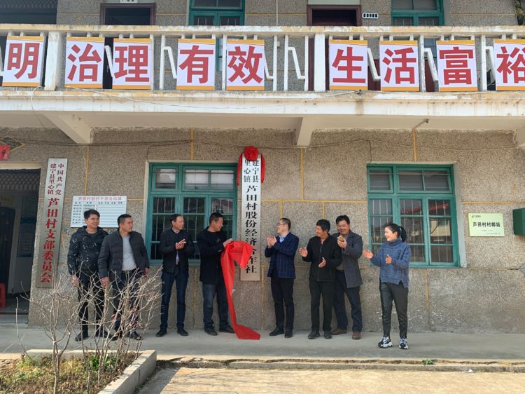 乡村振兴里心镇举行村级股份经济合作社揭牌仪式