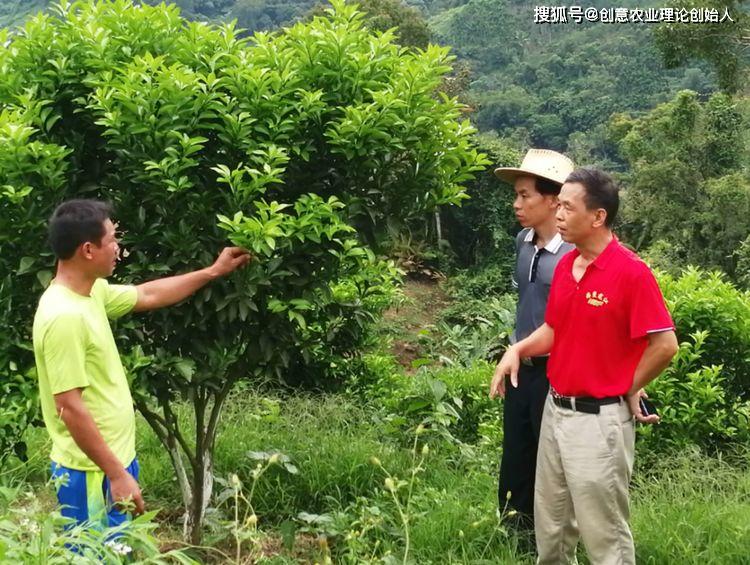 创意农业头条推荐丨中国农村创意榜样伍和平我的2019