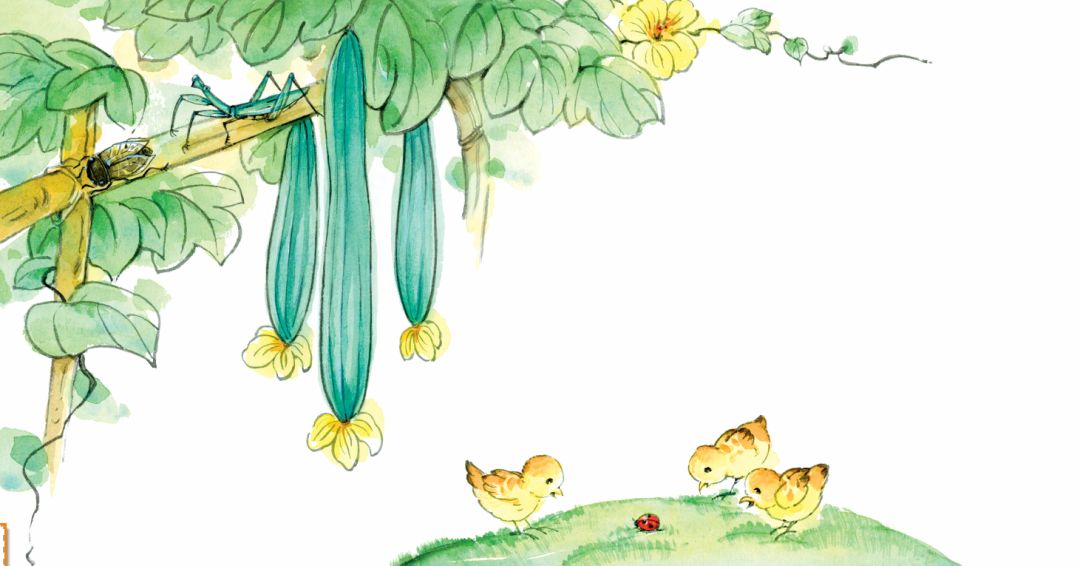 赠书活动 | 猜谜两星期,精美图书带回家(最后一天)_蜗牛