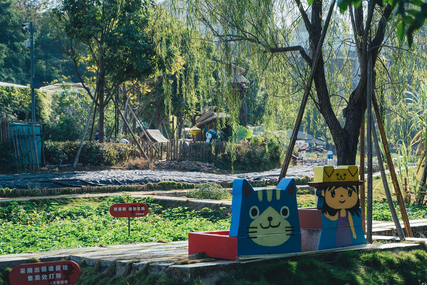 原创深圳这个小镇差点被人遗忘 如今是宝藏秘境