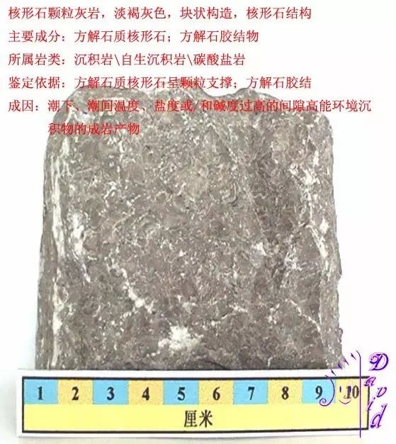 三大岩类190种岩石鉴定图册,看完你就是专家!_砂岩