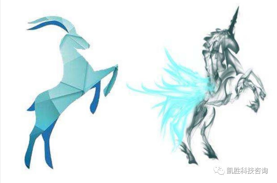 新的一年,齐鲁新独角兽,瞪羚企业来了!