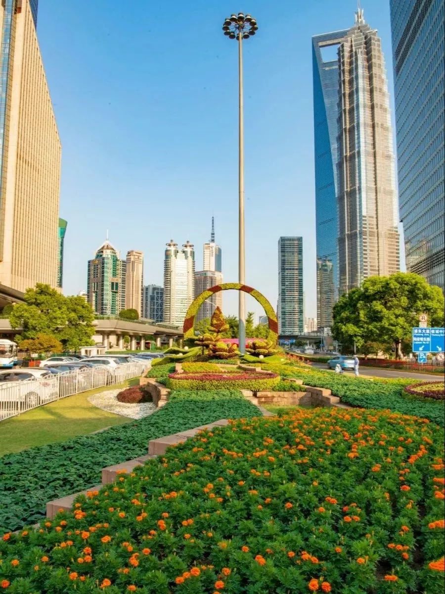 只争朝夕不负韶华浦东绝美日出大片迎接2020