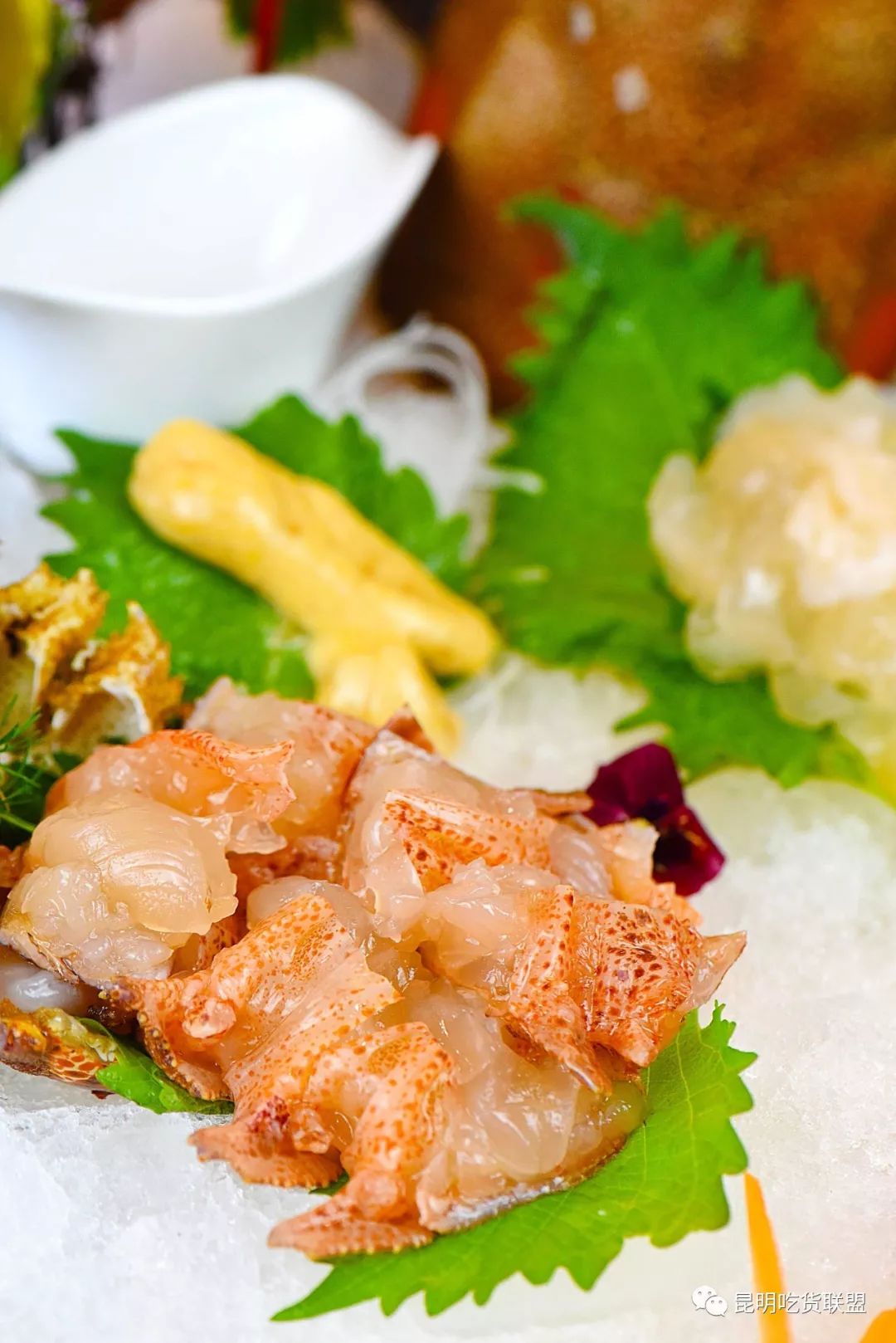 藏在滇池路的海鲜博物馆坐下就回本