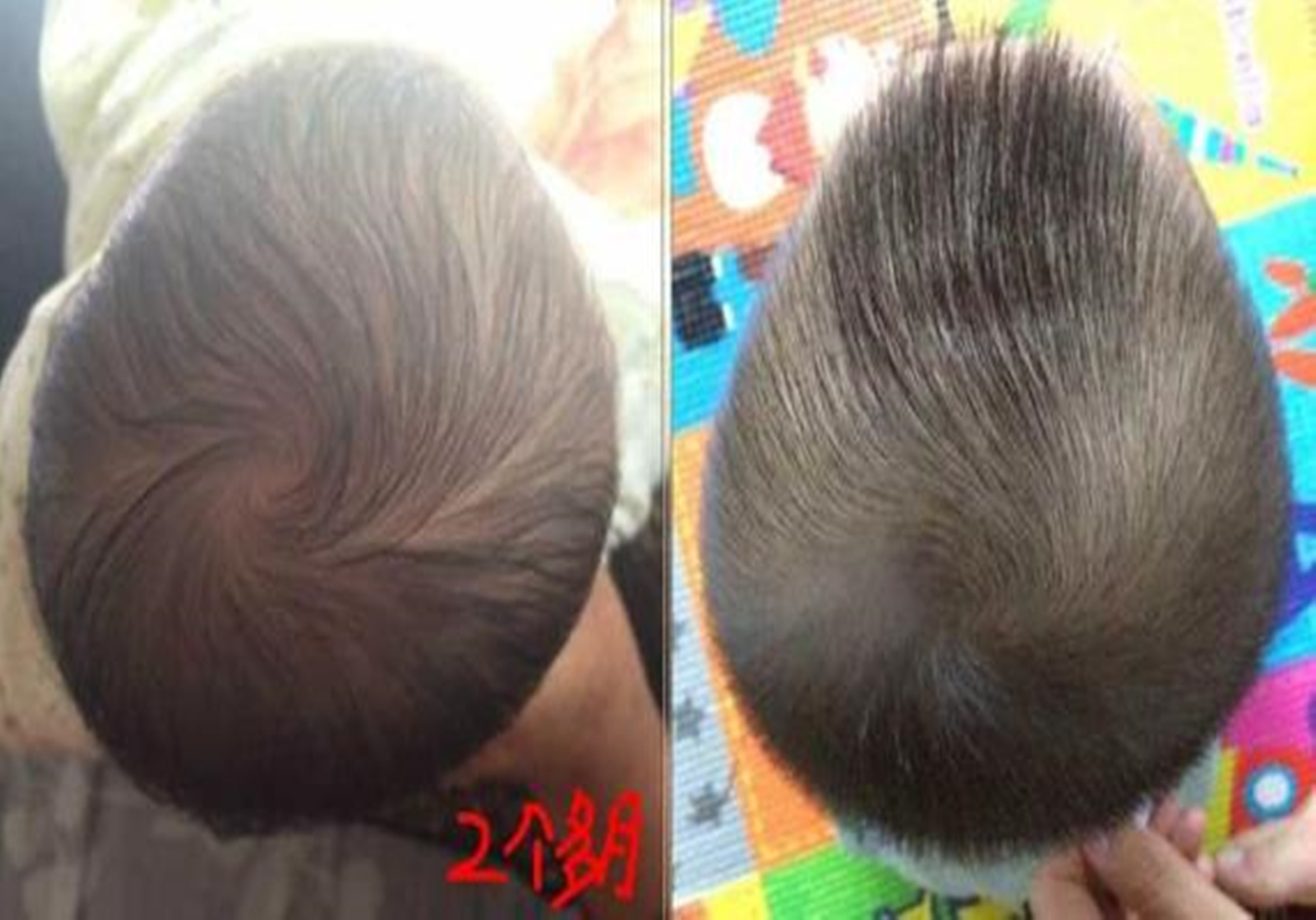 这时小黎想到自己从来 没注意过"圆头","扁头"的