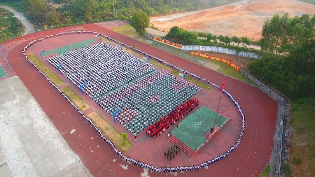 盘点丨201961龙实人种桃种李种春风_龙川