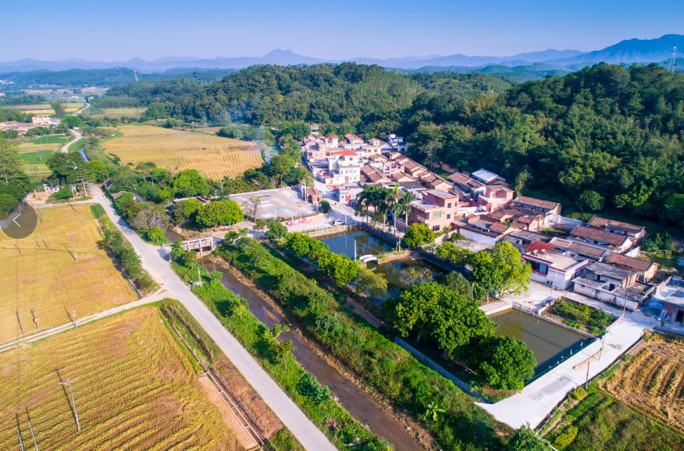 1月5日迳口镇柑桔丰收节见超多精彩活动和免费美食