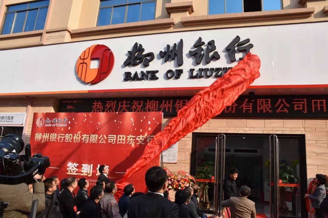 柳州银行流水制作 来自搜狐网