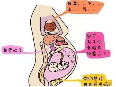 宫缩是肚子哪个位置疼图片