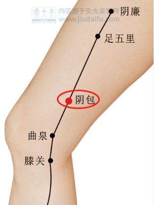 大腿内侧经络一按就疼图片