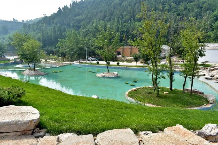 五井镇2020年新年献词拥抱新时代奋斗新征程