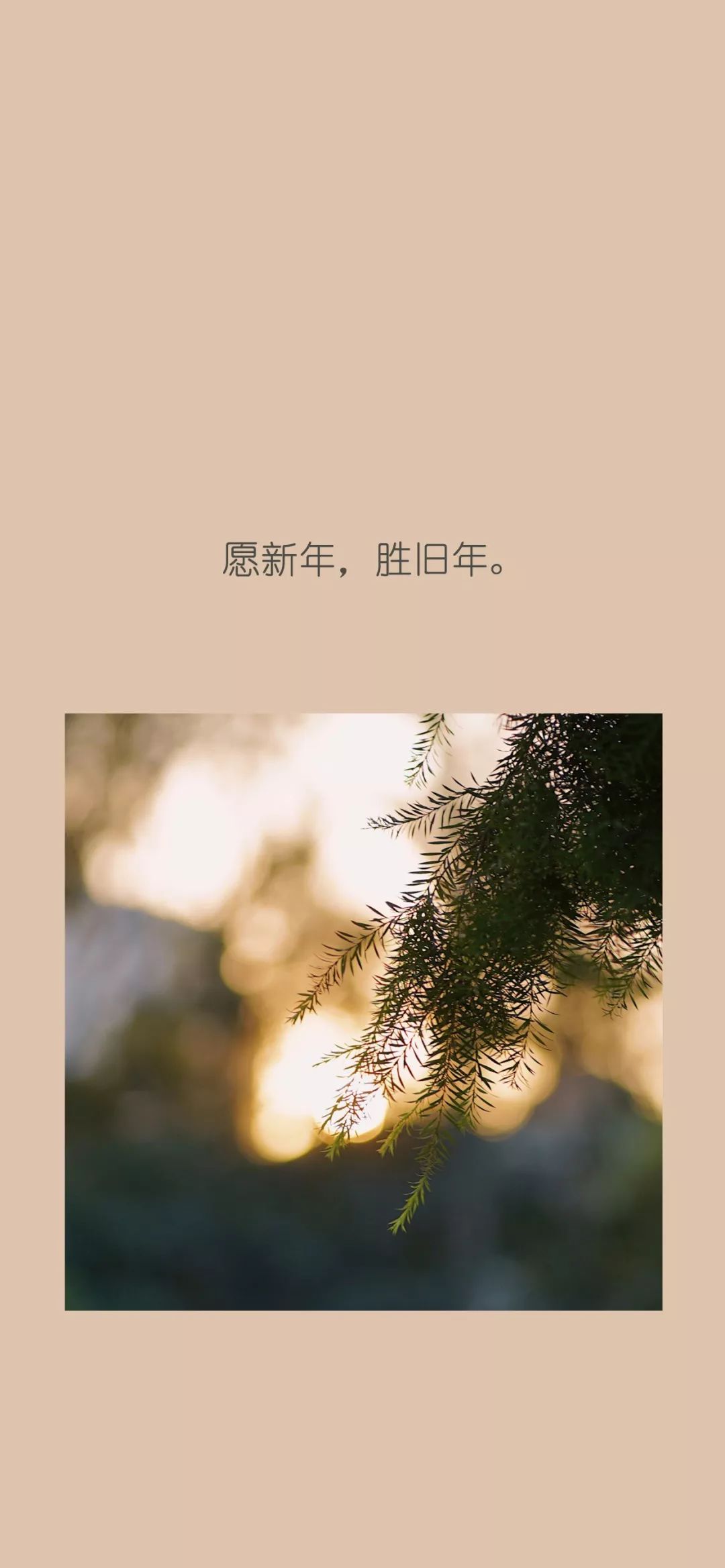 全面屏壁纸高清朋友圈跨年专用配图愿新年胜旧年