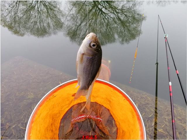 2019收官之战上午求鱼下午求大