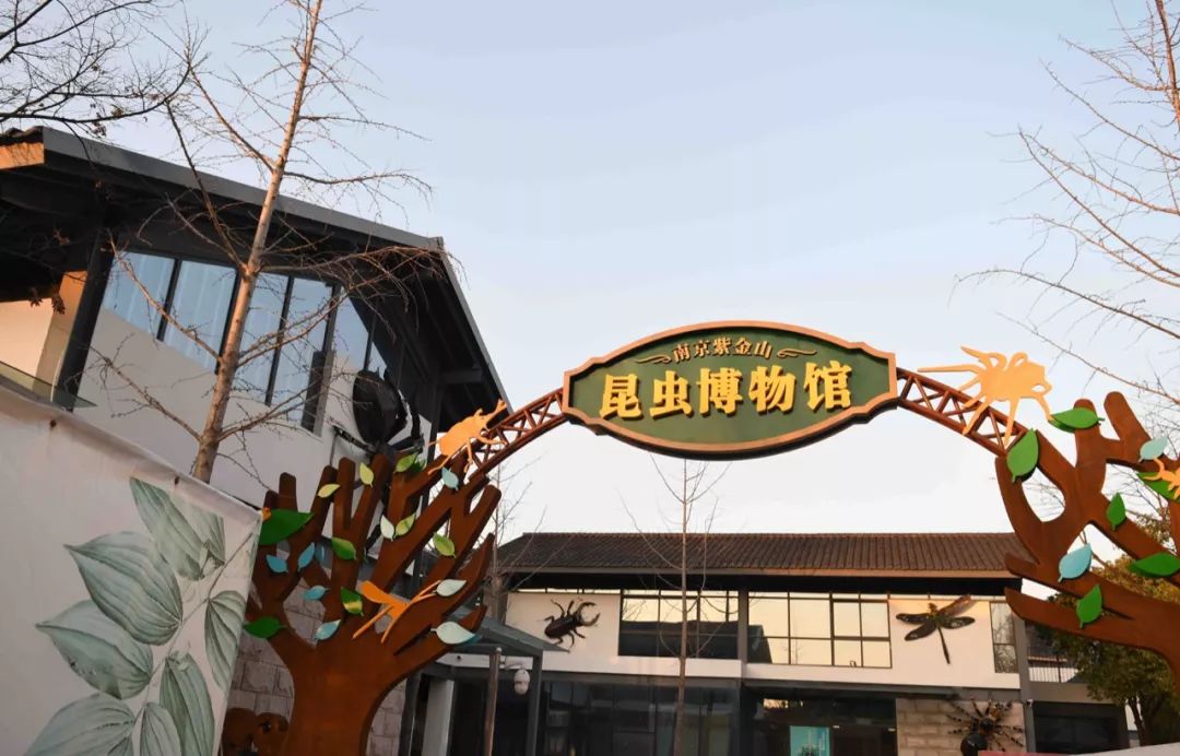 南京紫金山昆虫博物馆