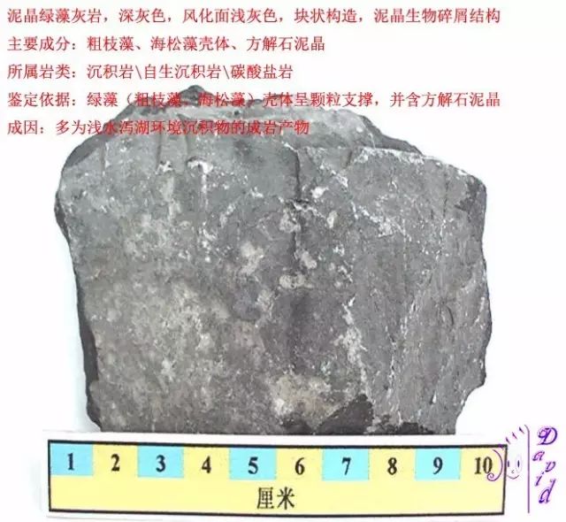 三大岩类190种岩石鉴定图册,看完你就是专家!_砂岩