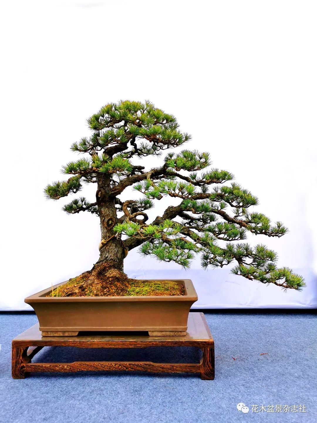日月昌明