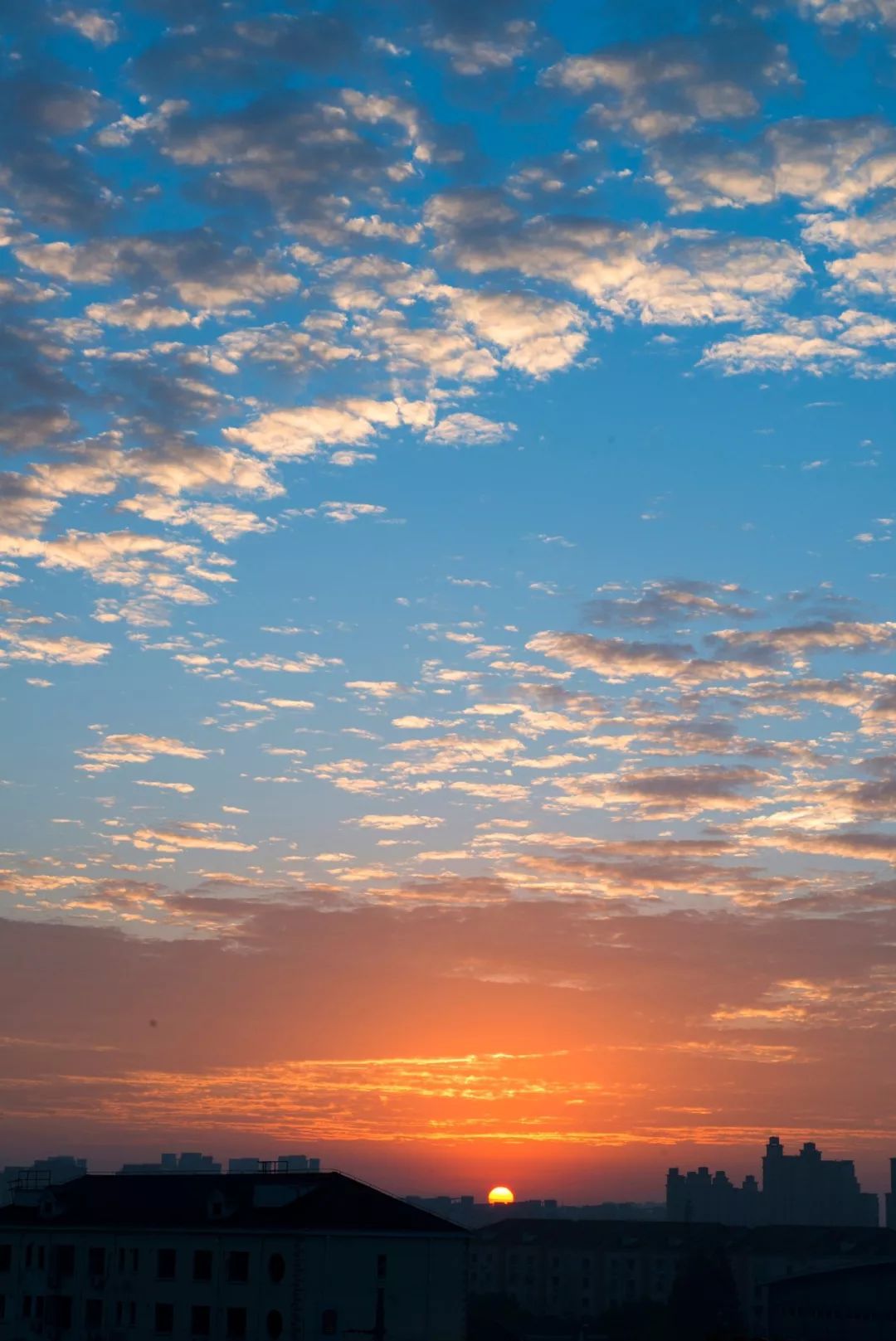 浦东绝美日出大片迎接2020_曙光