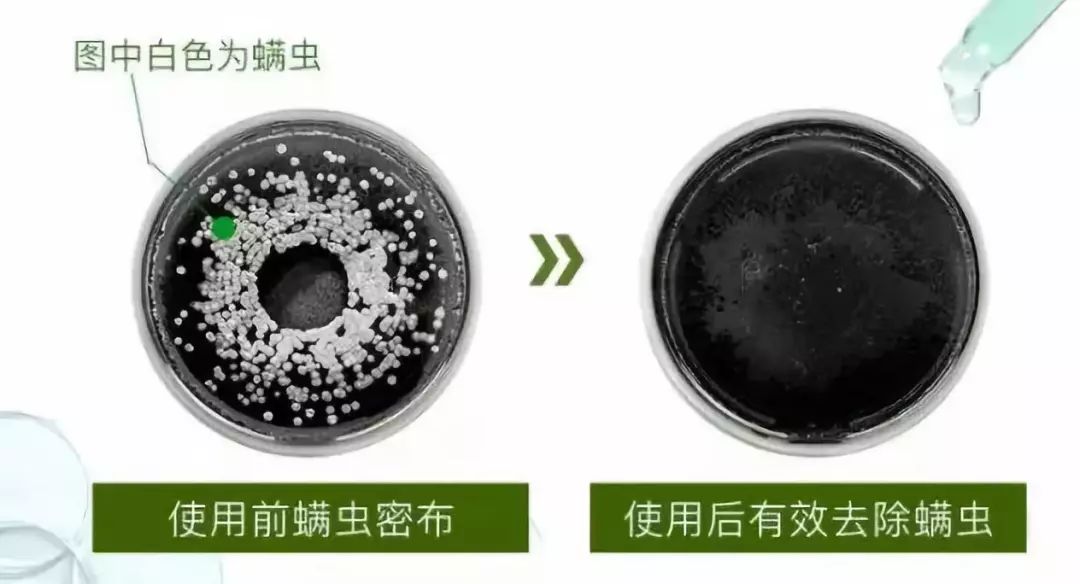 别总想着烫头发!过了30岁,这样弄头发才显年轻