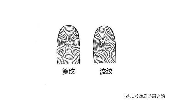 原创手上的斗越多命越好吗你的手上有几个斗几个簸箕