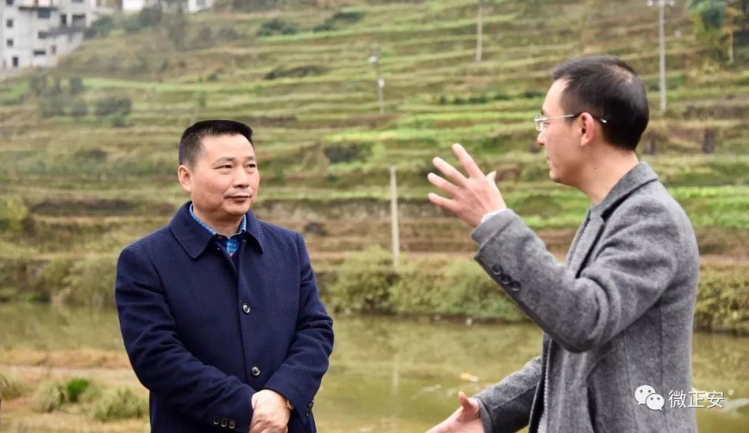 吴起率队到中观镇,班竹镇调研脱贫攻坚,农村产业结构调整工作