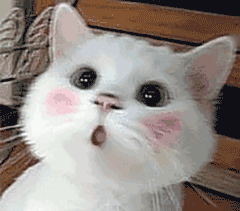 把腊八粥稍微熬稠一些,最好在食用腊八粥的同时吃些干的食物,如面包