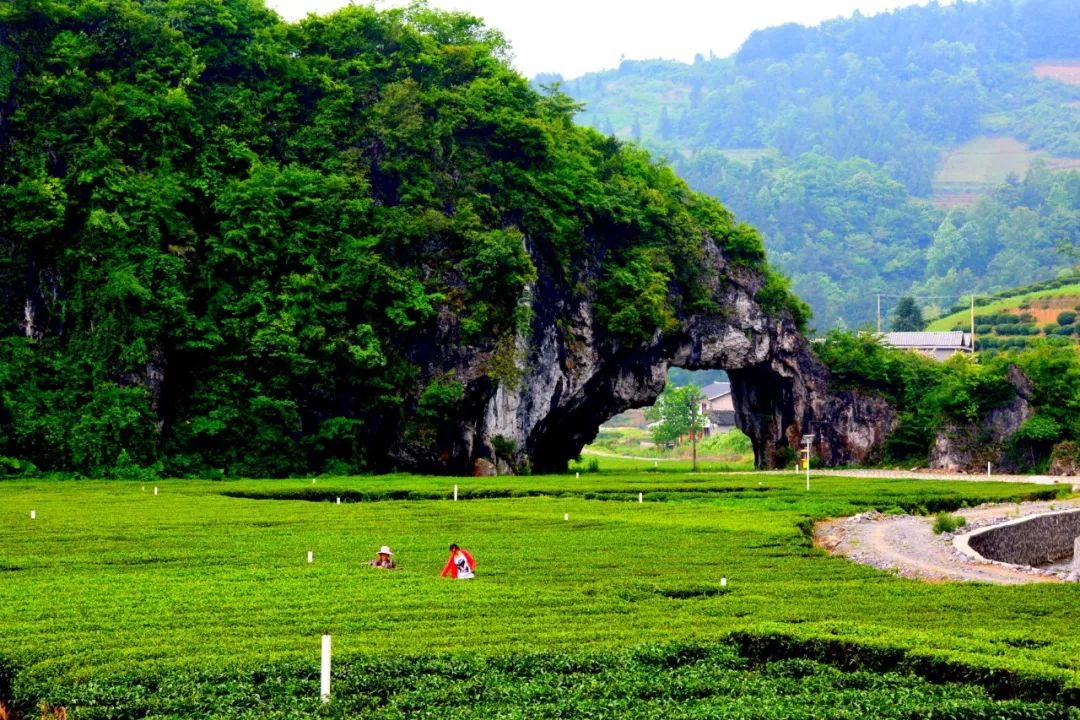 你好盛家坝镇恭喜你即将迎来大发展