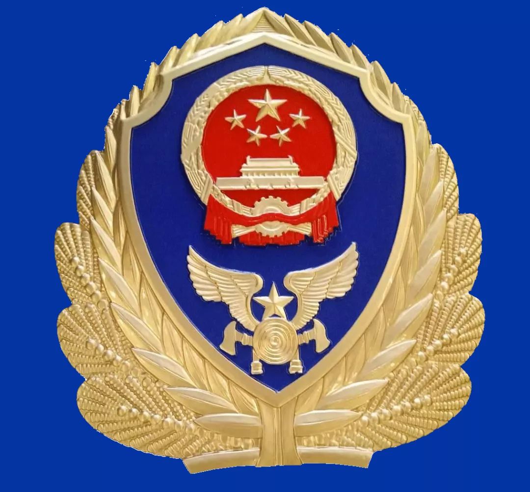中国消防队徽图片