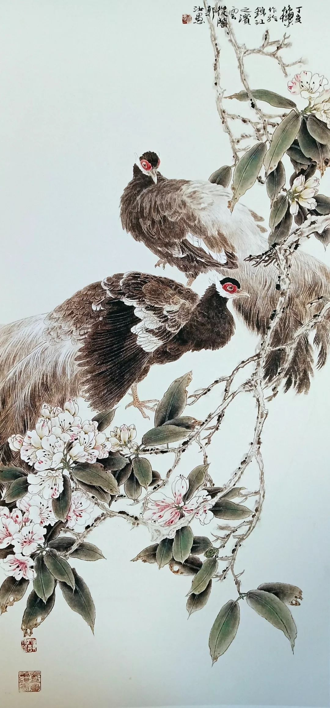 肖艳生宣工笔花鸟画临摹与创作班招生1月13日开课