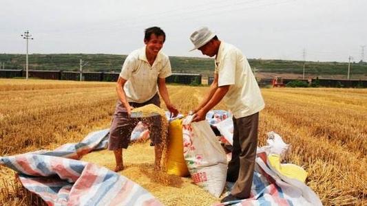 2020年农村缴纳公粮,能抵扣300元养老金了,只要拿这个就行了!