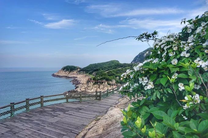 一起去展茅田園綜合體看了一場秋收,一起在夏天的沙灘邊踩沙踏浪,這