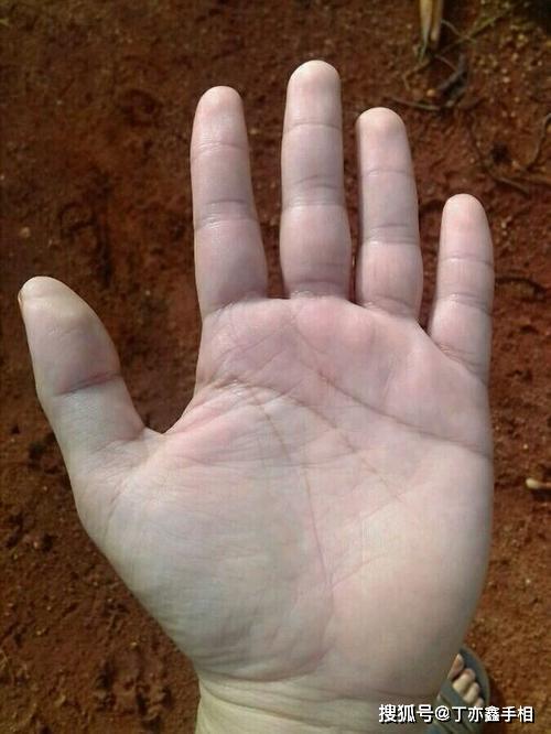 手相宝晕纹对横财运的影响?