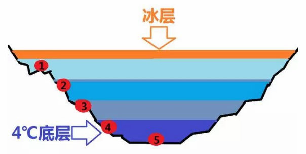 不管天气有多冷,哪怕零下二,三十度,只要水面结冰,那么水层就是呈逆温