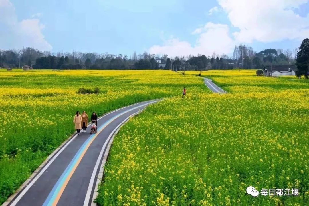 都江堰市柳街镇创新乡村治理模式成效显著喜获全国乡村治理示范乡镇