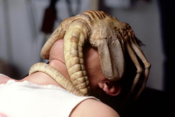 《异形》中令人作呕的外星抱脸虫,被放入这款游戏吓哭玩家