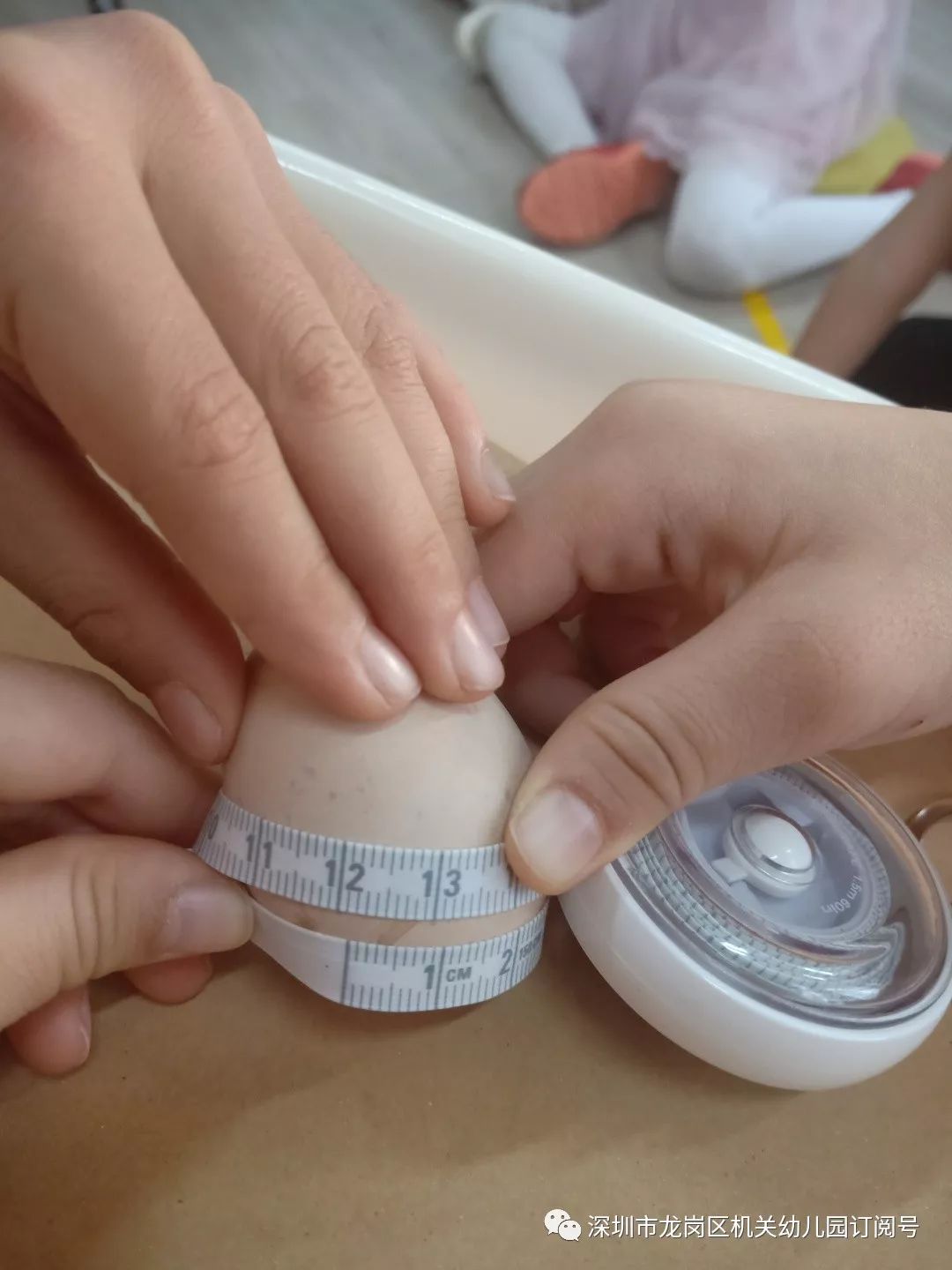 我们测量鸡蛋的大小以此观察鸡蛋的大小是否会影响小鸡出生时的大小
