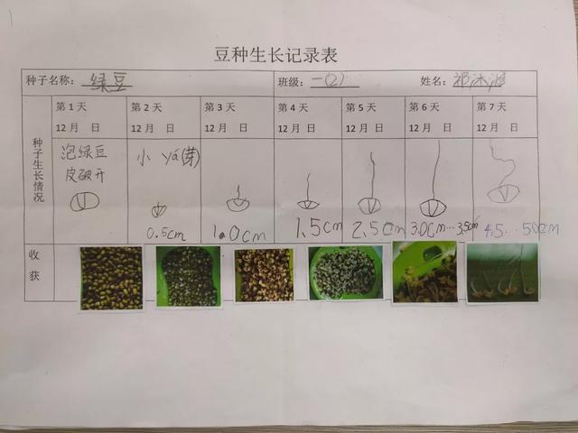 北京市京源学校小学部2020“源创力杯”科技嘉年华(图5)