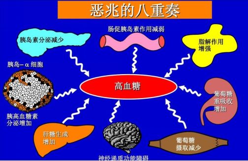 首先从治疗2型糖尿病说起,2 型糖尿病是一种慢性全身性代谢性疾病.