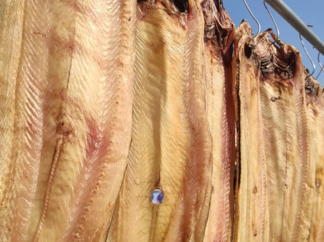 臻掌柜从洞头直采的鳗鱼干, 自然风干,是许多温州人做家常菜的第一