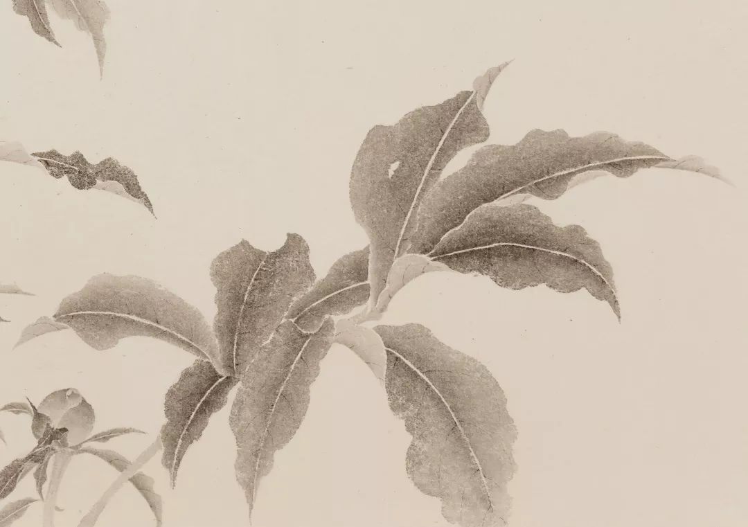 适我为新陈相锋水墨花鸟作品选