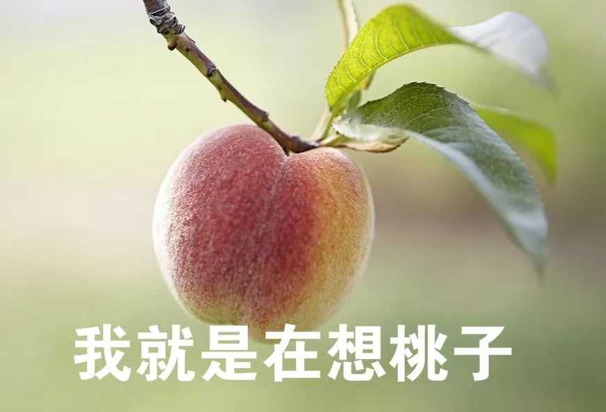 了,我也想要专属充电桩～我希望有我自己的专属充电桩(我在想桃子),算