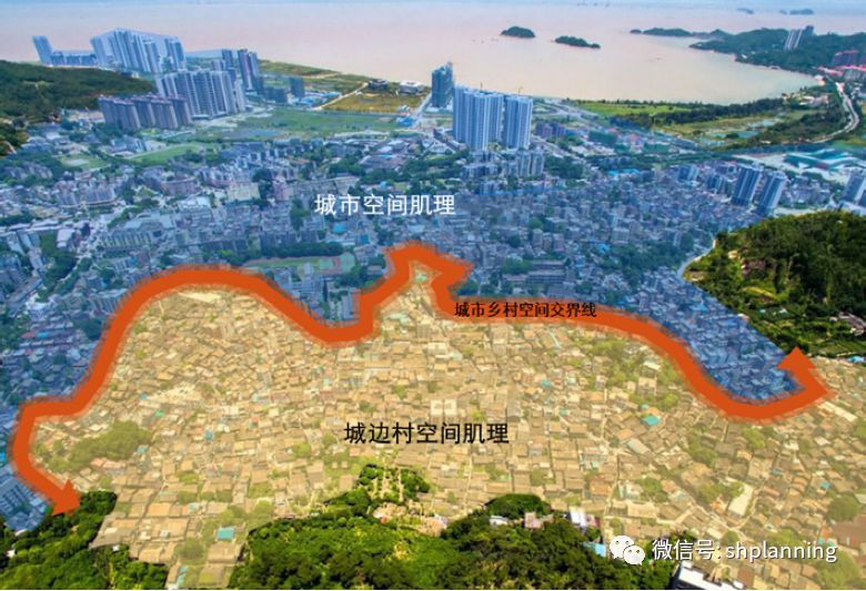 大都市边缘区村镇规划湾区乡村角色地位与突围策略研究上海城市规划
