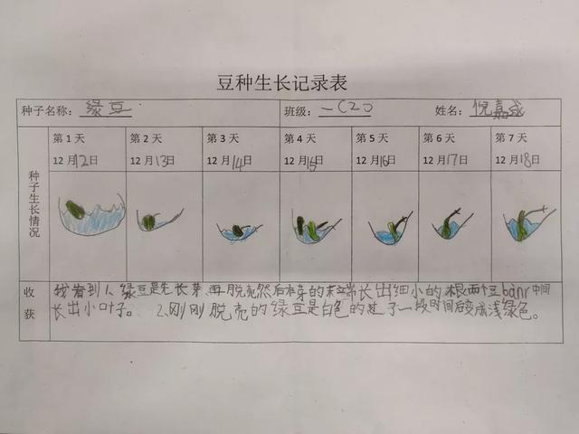 北京市京源学校小学部2020“源创力杯”科技嘉年华(图7)