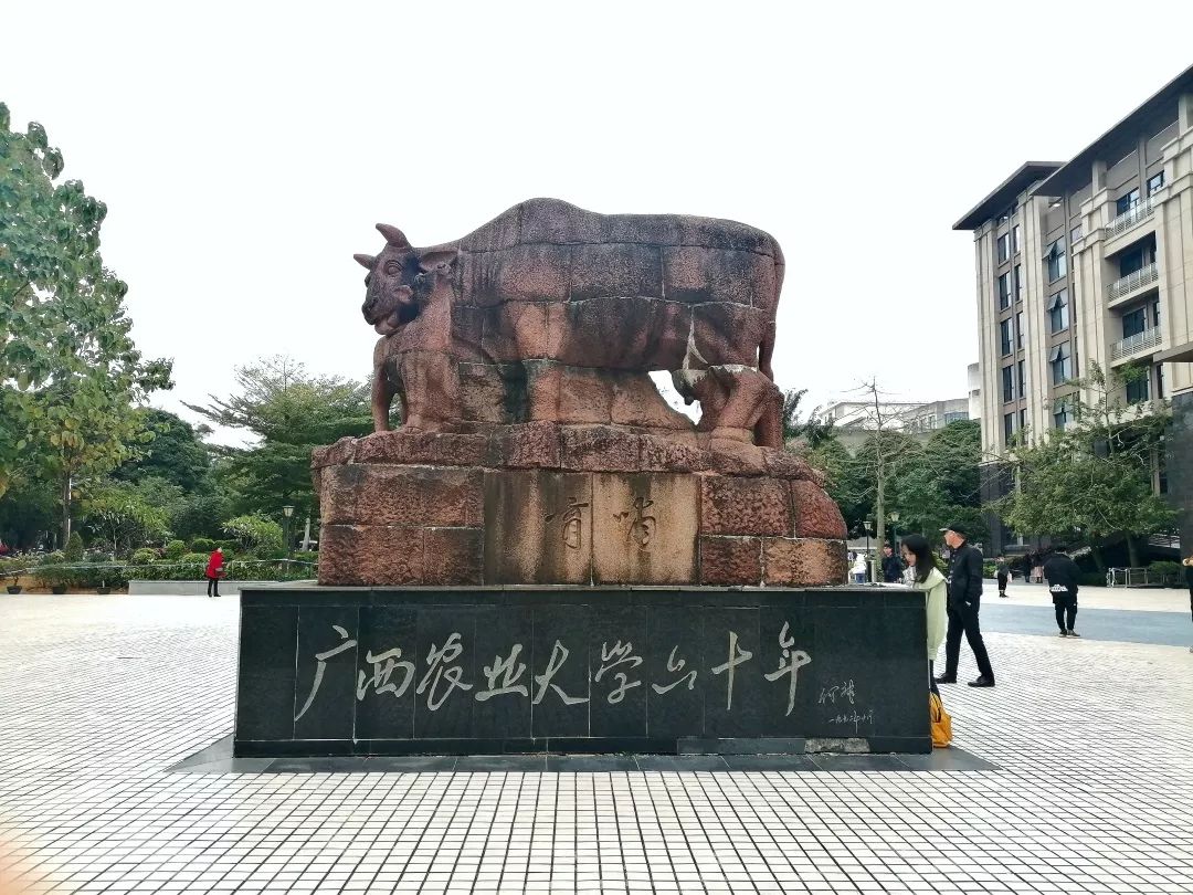 这些西大建筑你真的了解吗解锁西大建筑背后的内涵