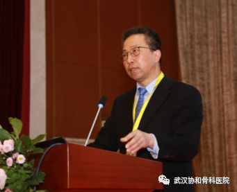 由华中科技大学同济医学院附属协和医院骨科刘先哲教授任首任主任委员